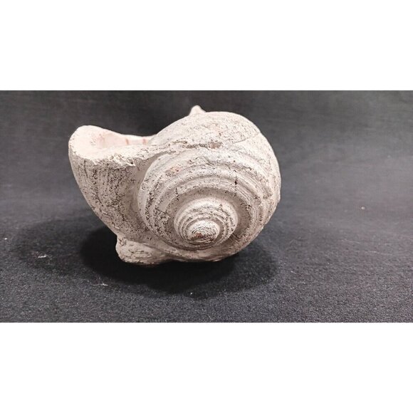 Cute Sea Shell Planter Box Home Decor Beach Themed Planter Cottage Beach House - Picture 3 of 13